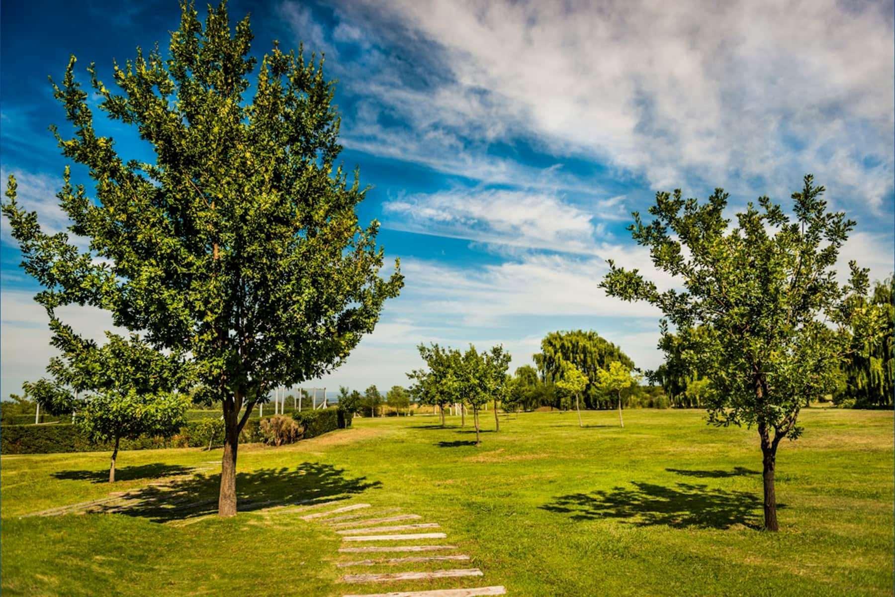 Howard Johnson Resort Spa & Convention Center Villa de Merlo Luaran gambar